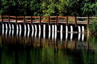 Second Dam Logan Utah